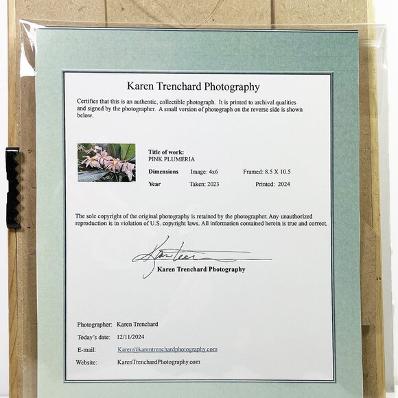 Fine Art Original PINK PLUMERIA Photo Bamboo Frame Signed COA - Picture 5 of 5